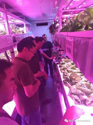 智慧農(nóng)業(yè)新篇章 宿遷市領(lǐng)導(dǎo)參觀旭田植物工廠，共話苗木種植現(xiàn)代化未來