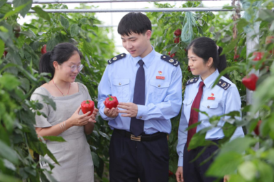 稅務助農辦實事 特色產業新年啟新程